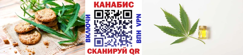 Cannafood конопля  Шагонар 