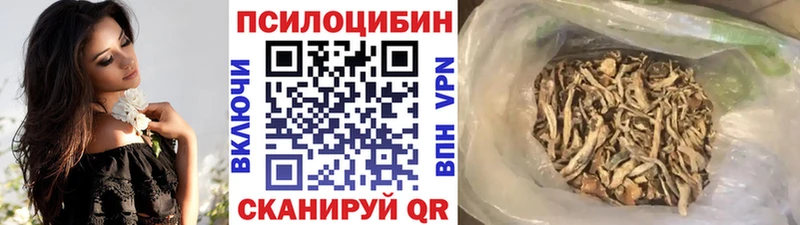 где купить   Шагонар  Псилоцибиновые грибы прущие грибы 